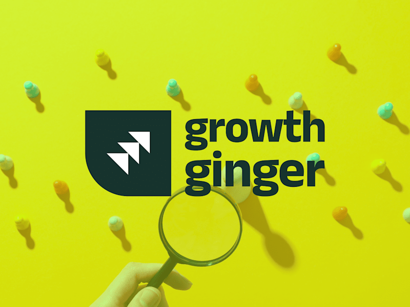 Cover image for Growth Ginger : A SEO Agency