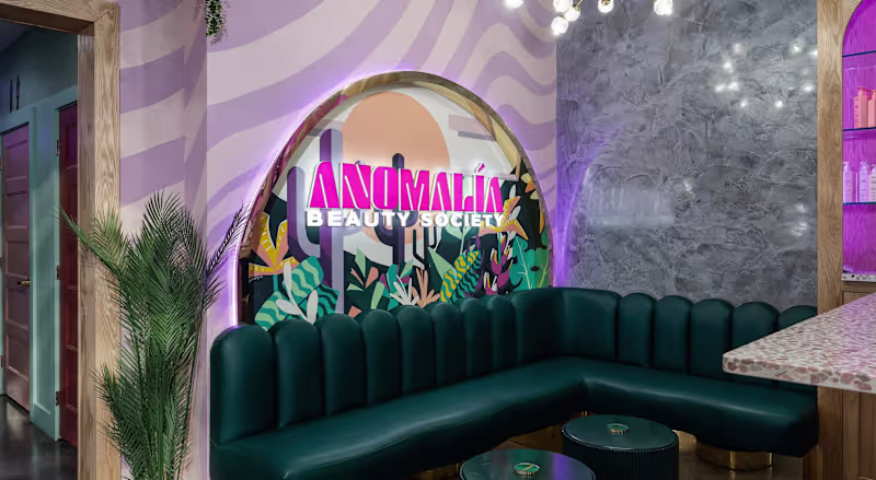 Cover image for Anomalía Society