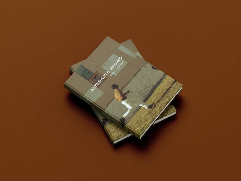 Cover image for Alternate Ending