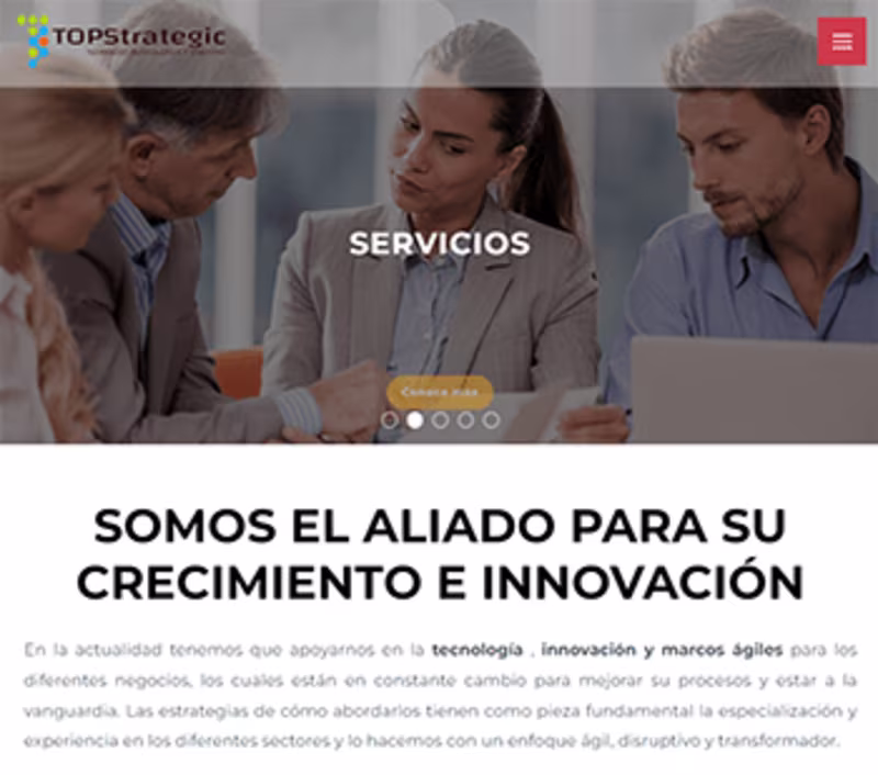 Cover image for TopStrategic and Promart web development