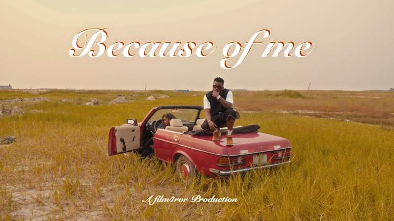 Cover image for EVIH - BECAUSE OF ME [VISUALISER]