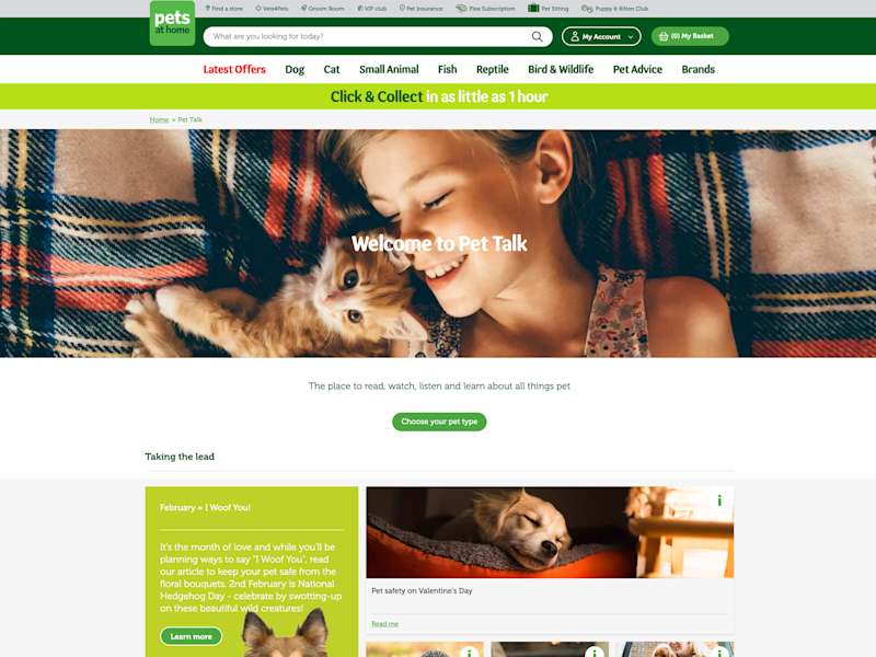 Cover image for Pets at Home Website UI Development