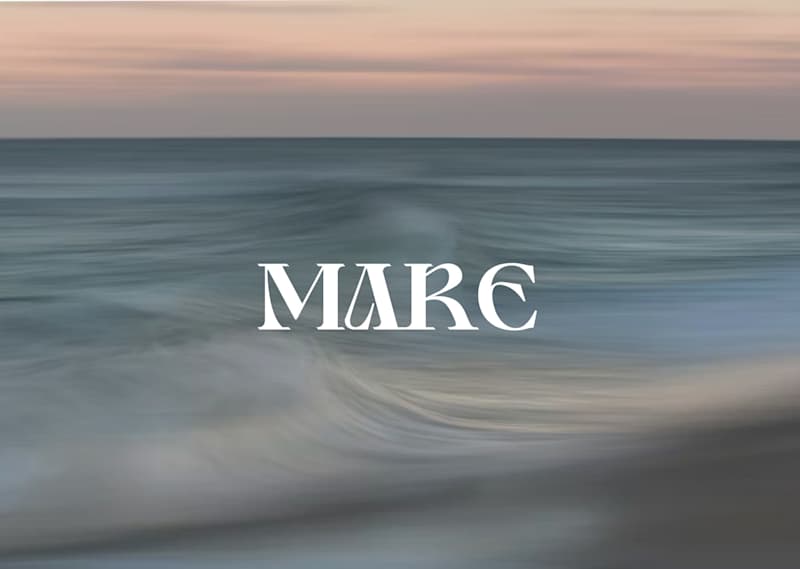 Cover image for Surface Ornamentation