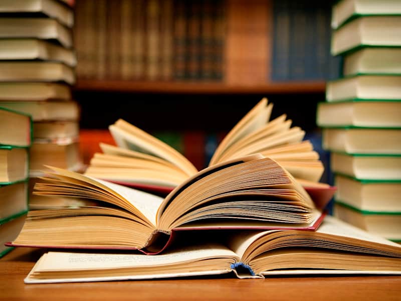 Cover image for LITERATURE WORK