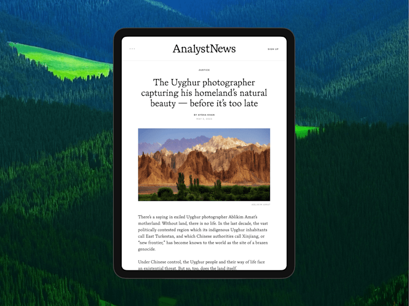 Cover image for Brand Build : Analyst News