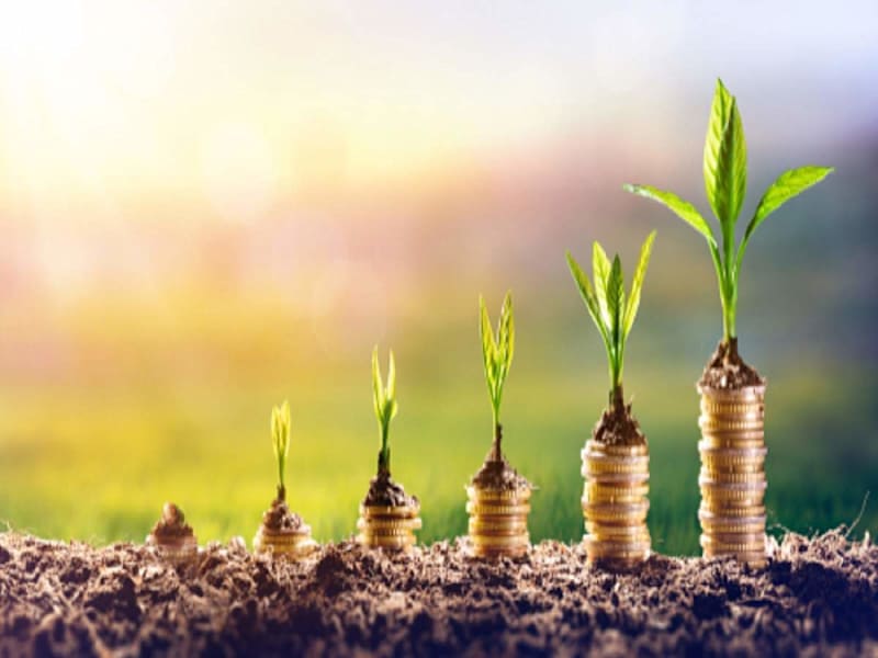 Cover image for  Optimal Investment Strategies for             
 20-Year-Old