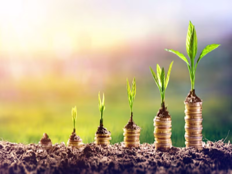 Cover image for  Optimal Investment Strategies for             
 20-Year-Old