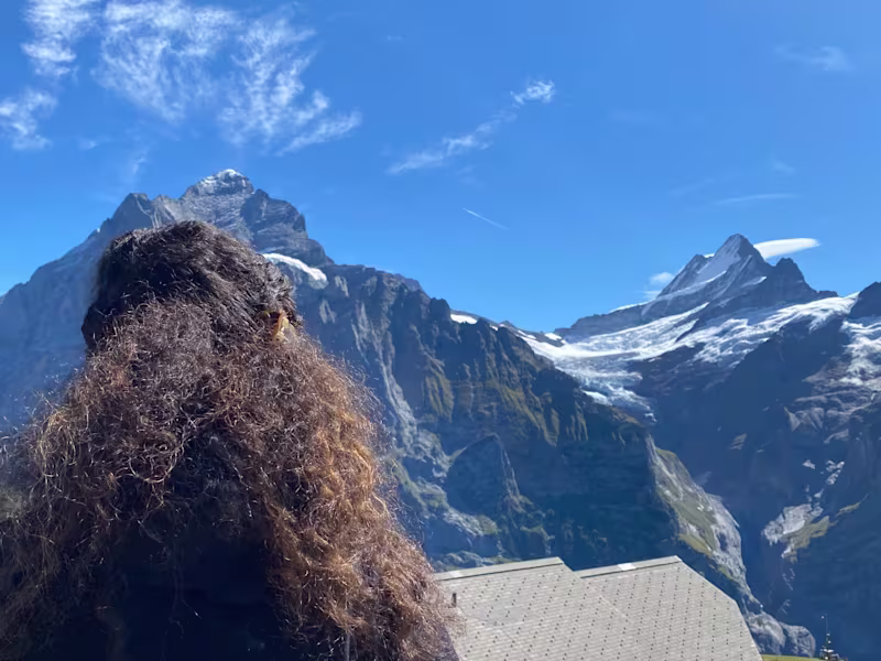 Cover image for Front End Web Development 