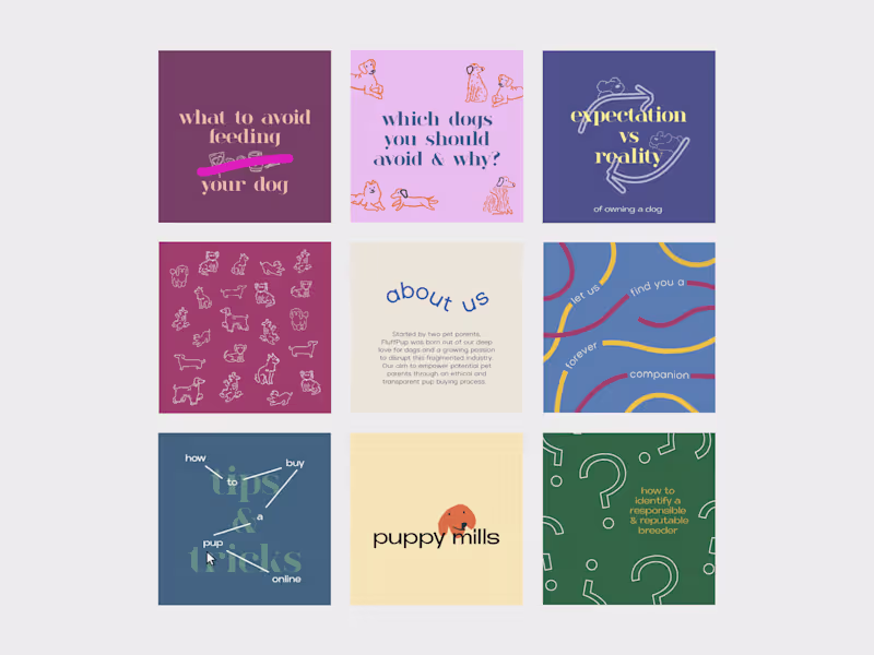 Cover image for The Curated Content Pack