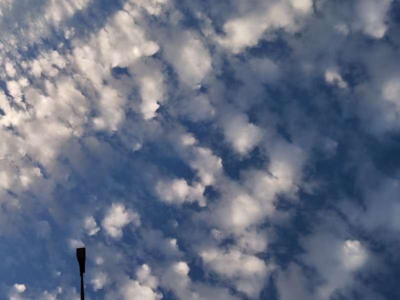 Cover image for Community Consultation (45 min)