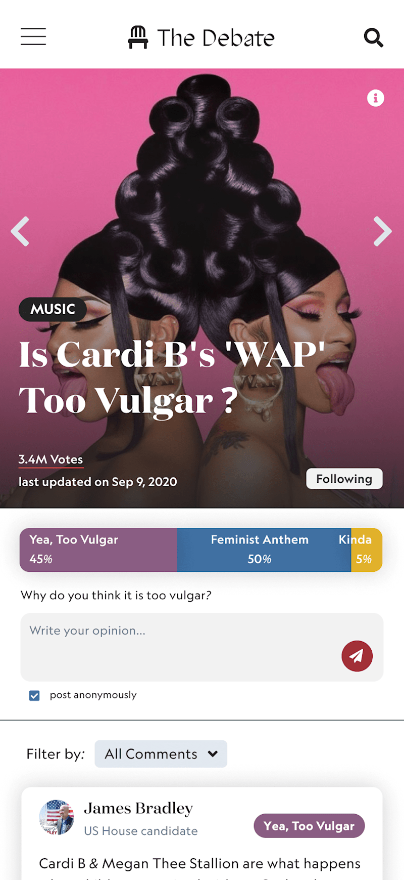 Cover image for Debate Website Design