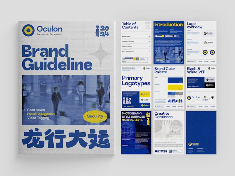 Cover image for Oculon Brand Guideline Development