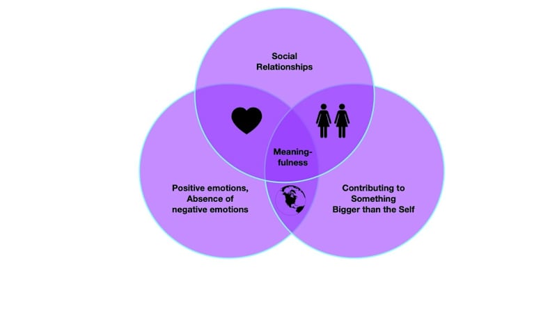 Cover image for Exploring Happiness and Meaningfulness