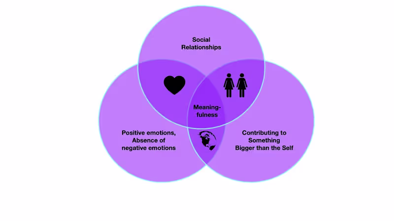 Cover image for Exploring Happiness and Meaningfulness