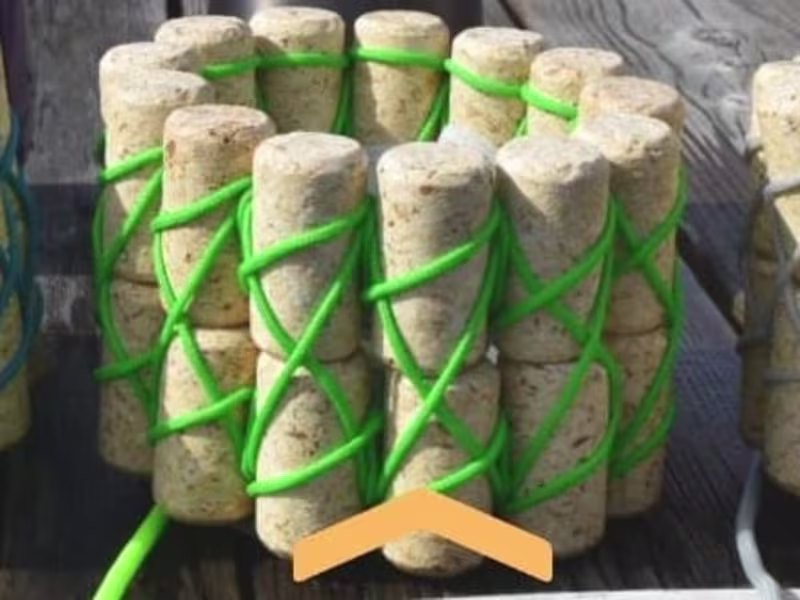 Cover image for 
The Flozé (Capstone)