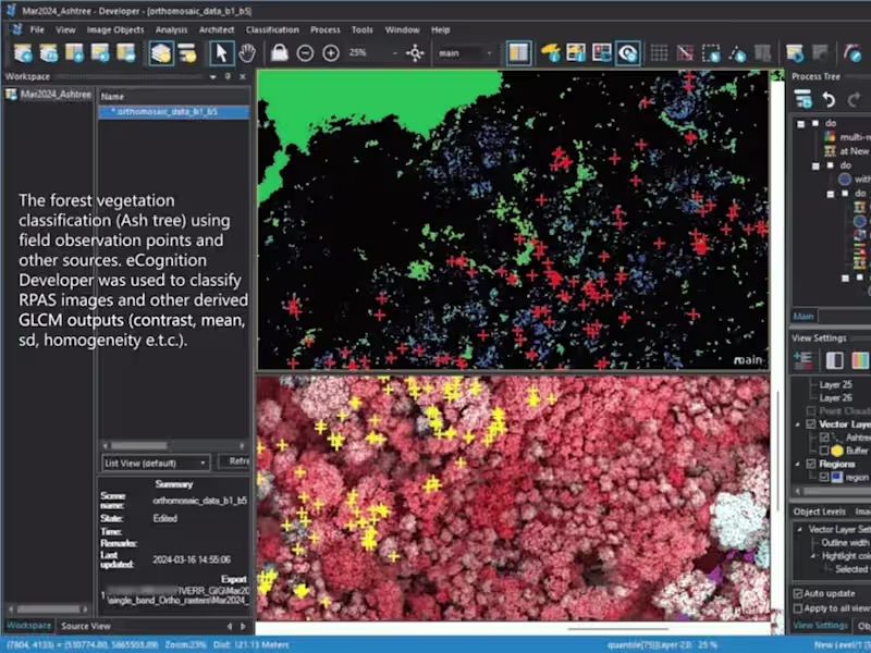 Cover image for Vegetation analysis with OBIA