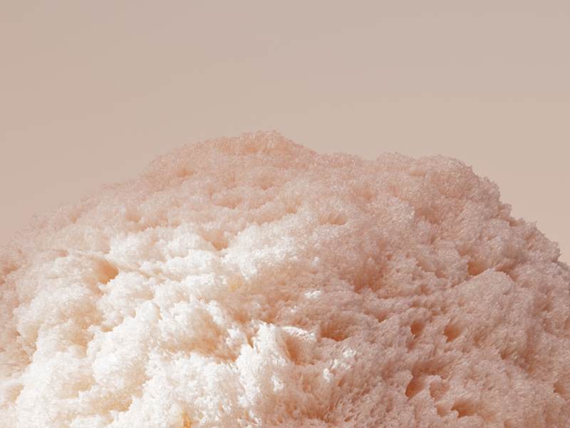 Cover image for Peachy Soap with Peachy Sponge or...