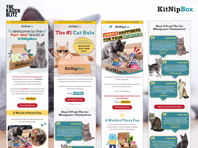Cover image for KitNipBox – Email Redesign