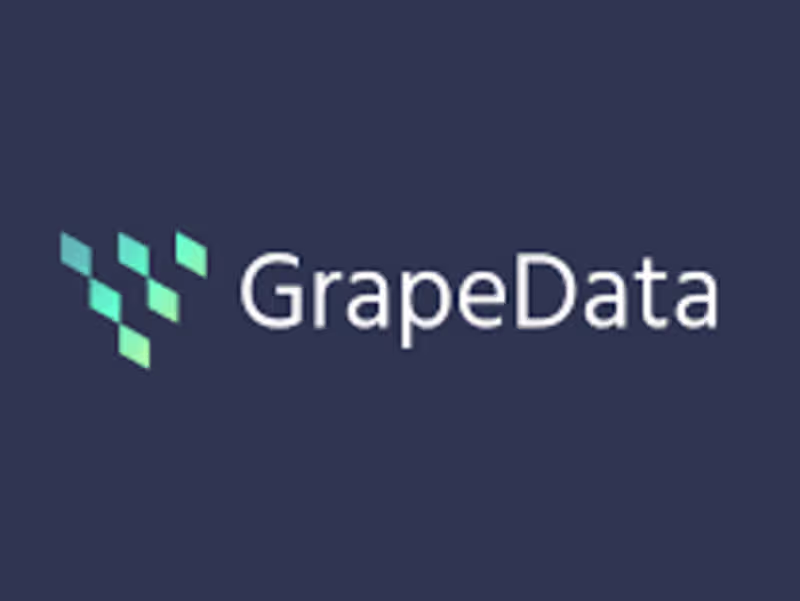 Cover image for Managing Multiple Data Collection Projects