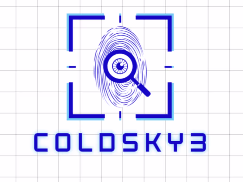 Cover image for Designer