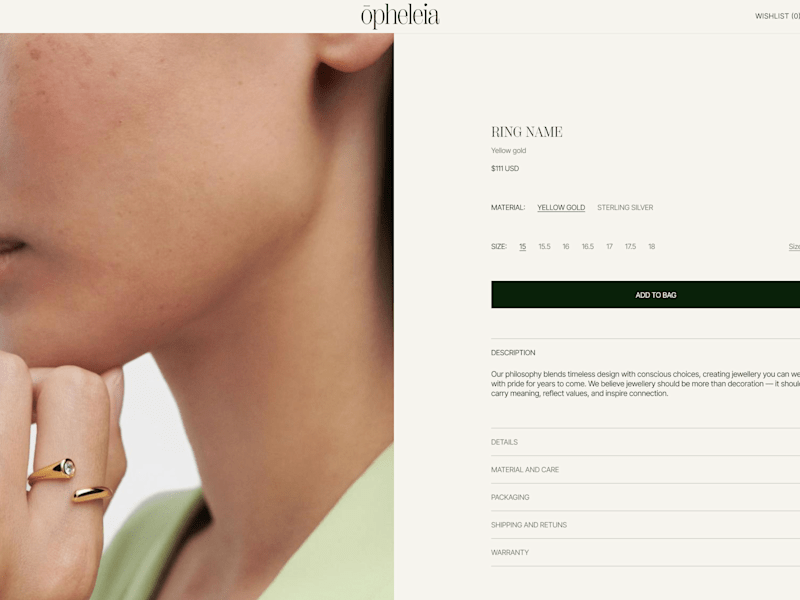 Cover image for Shopify Custom Website