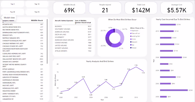 Cover image for Bird Strikes by Airplane