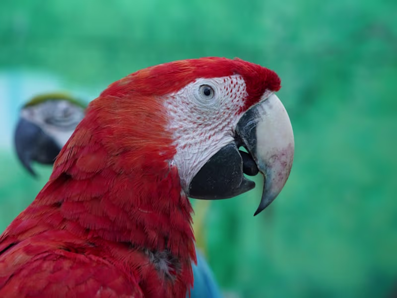 Cover image for Created Compelling copies for a Parenting Coach