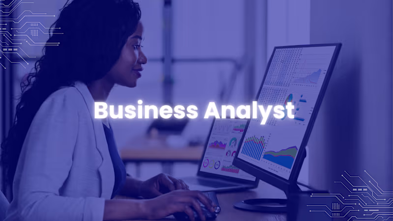 Cover image for Business Analyst for a Government