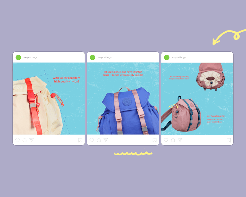 Cover image for Exsport Bags