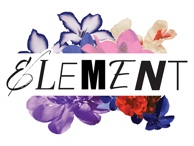 Cover image for Element Magazine