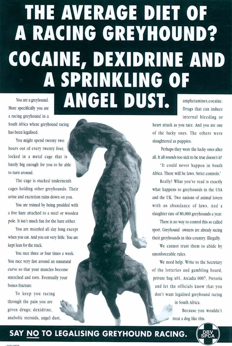 Cover image for Campaign to ban Greyhound Racing