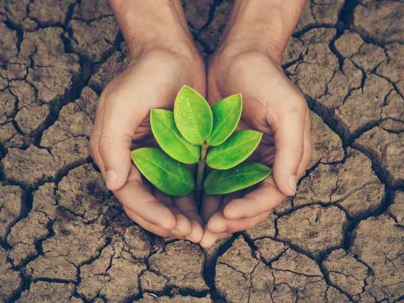 Cover image for Greenothon