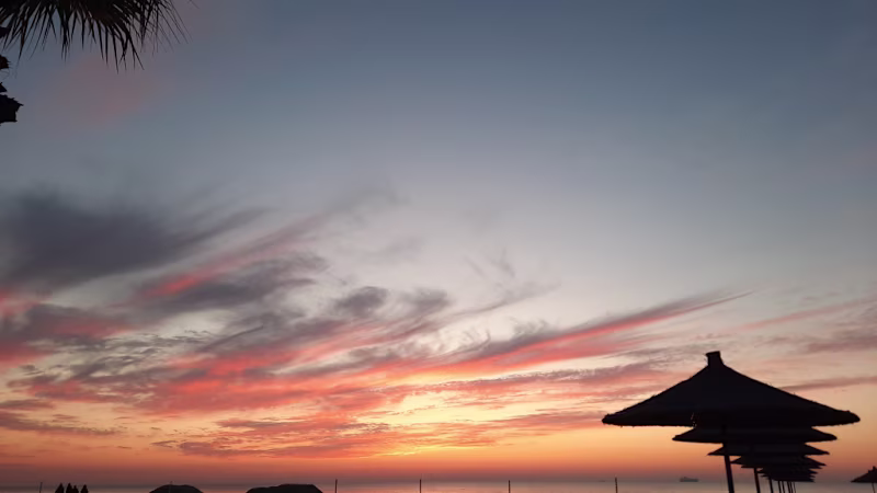 Cover image for Blogging
