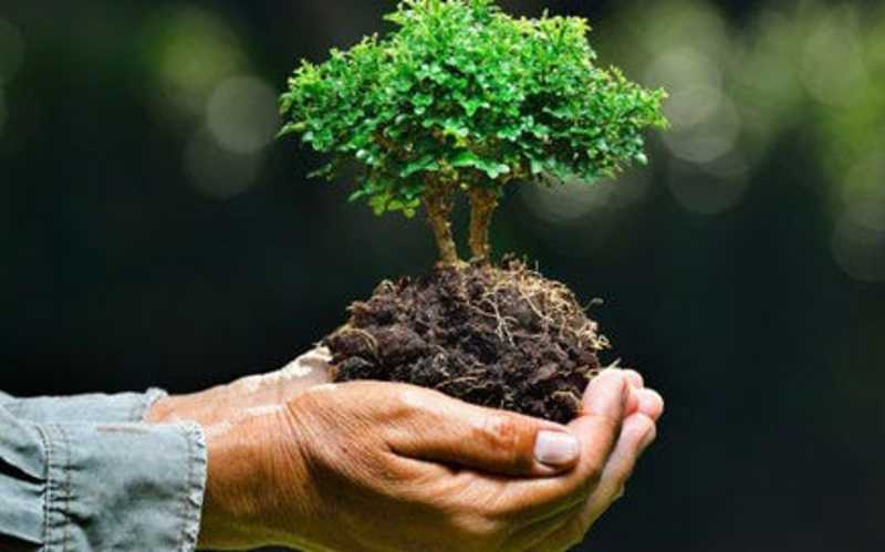 Cover image for Environmentalism as Resistance: Reclaiming Our Earth
