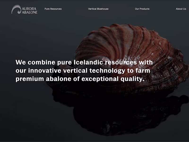 Cover image for Aurora Abalone