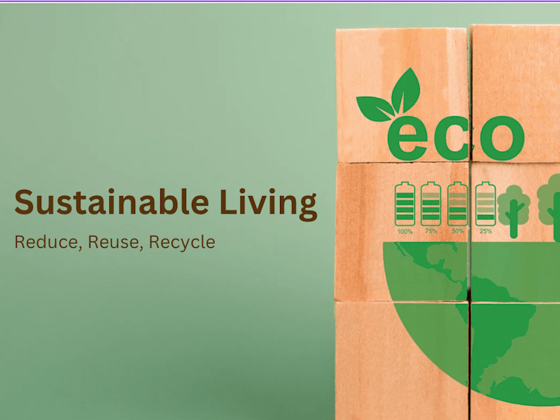 Cover image for Proofreading Sample: Blog Post on Sustainable Living