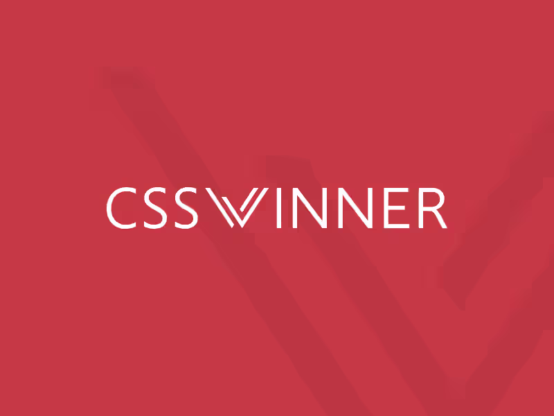 Cover image for CSS Winner