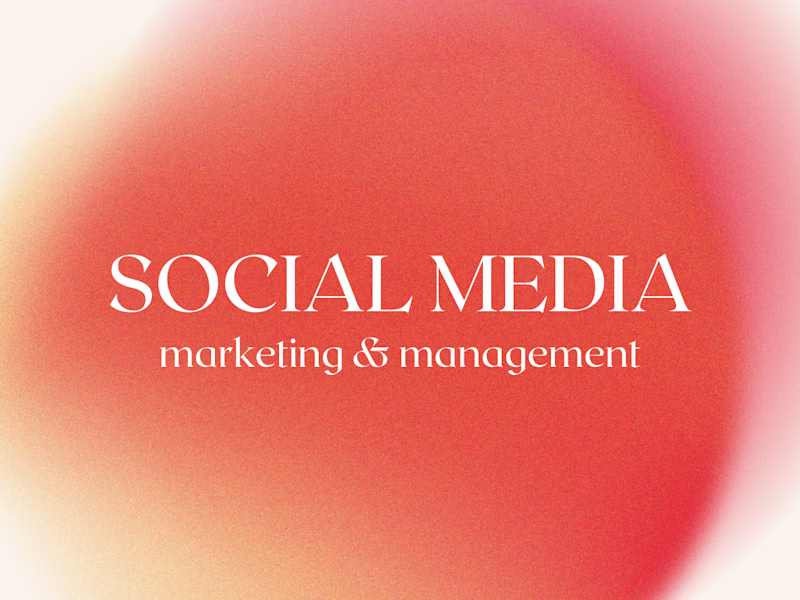 Cover image for Social Media Marketing & Management