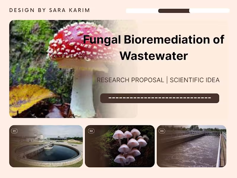 Cover image for What if fungi could help clean our wastewater naturally? Thi...