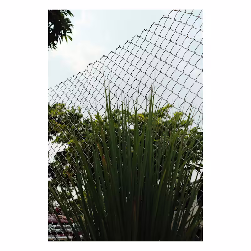 Cover image for Minimal. Asthetics :: Behance