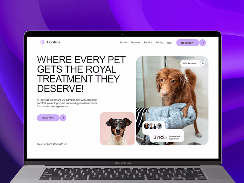 Cover image for Complex Compelling Websites in Framer