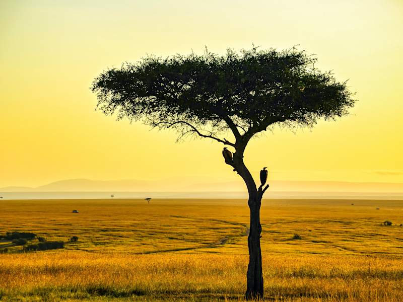 Cover image for A web app for marketing land on sale.