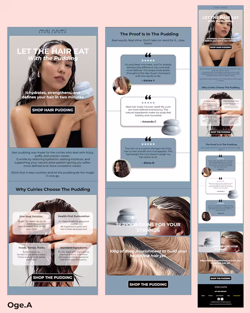 Cover image for Email campaign for hair pudding