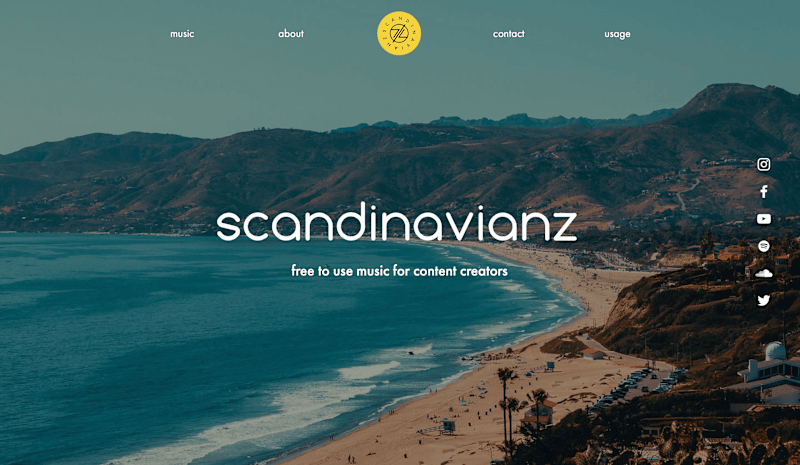 Cover image for Brand & Web Design for DJ and Producent Duo Scandinavianz