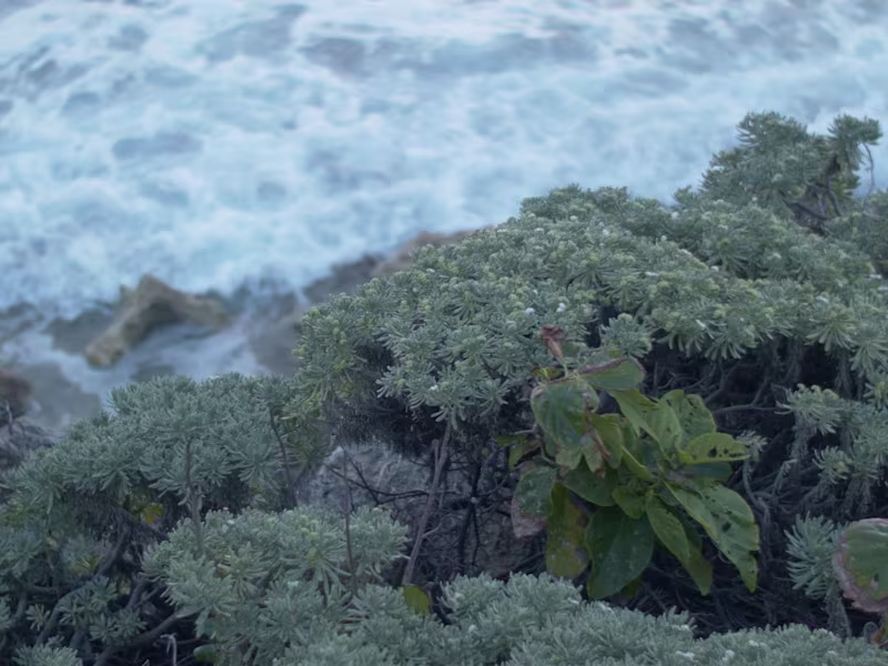 Cover image for Film high quality video for your brand or film 