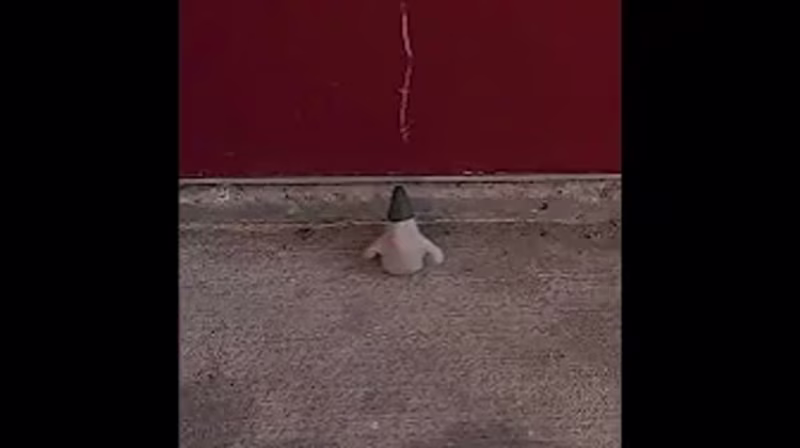 Cover image for small wizard