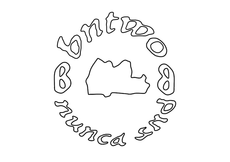Cover image for 'never 2nd' logo.