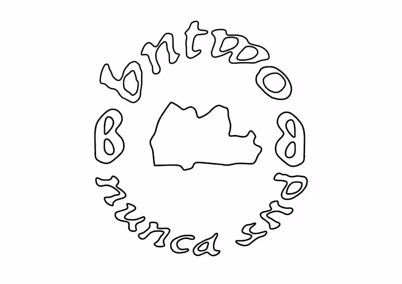 Cover image for 'never 2nd' logo.