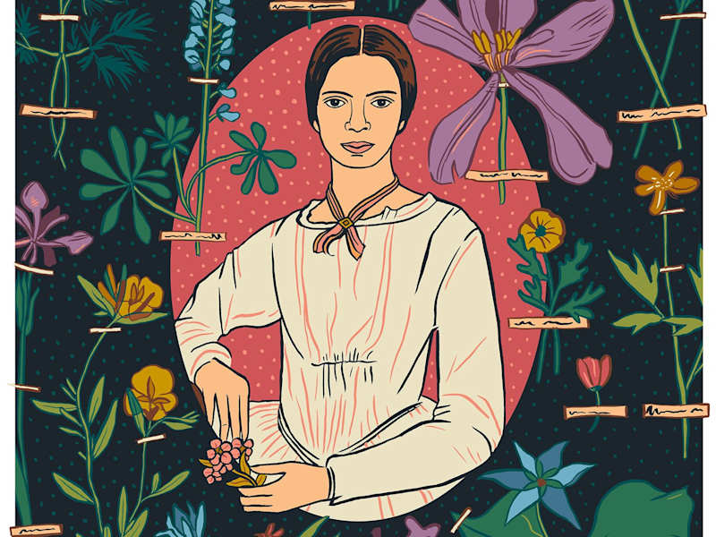 Cover image for Portrait Illustrator for Publishing, Marketing, and Advertising