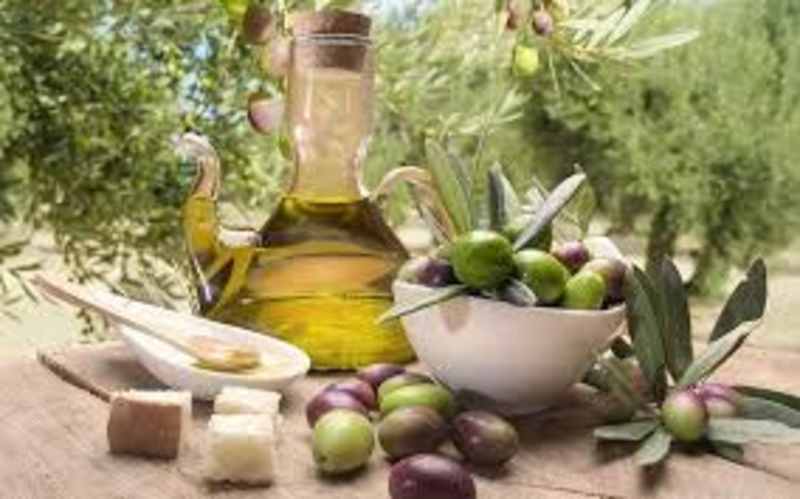 Cover image for Healthy Living SEO Blog: